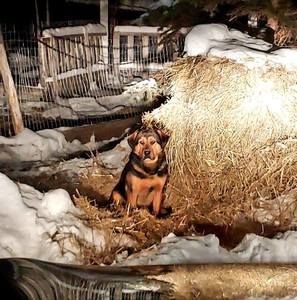 Meet your Posher, Cj